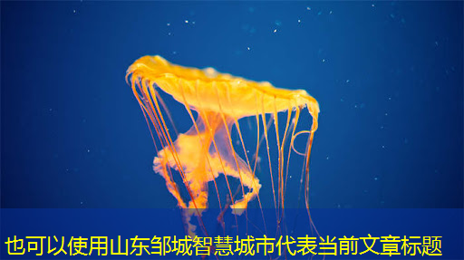 山东邹城智慧城市 山东邹城智慧城市