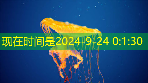 大模型智慧企业城市 大模型智慧企业城市