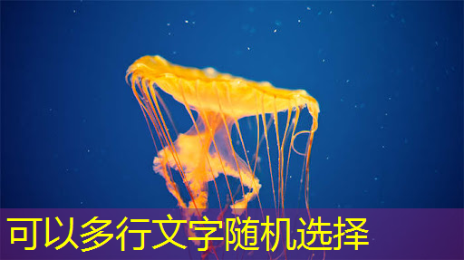 快速讲解智慧城市的书籍有哪些 快速讲解智慧城市的书籍有哪些