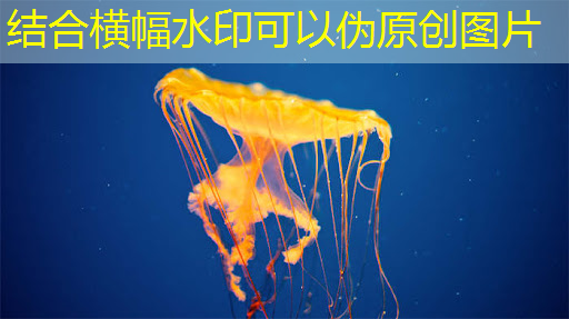 数字化转型加速,智能商显成为智慧社区新利器! 数字化转型加速,智能商显成为智慧社区新利器!