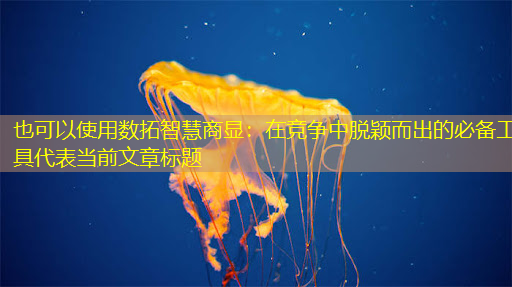 数拓智慧商显:在竞争中脱颖而出的必备工具 数拓智慧商显:在竞争中脱颖而出的必备工具