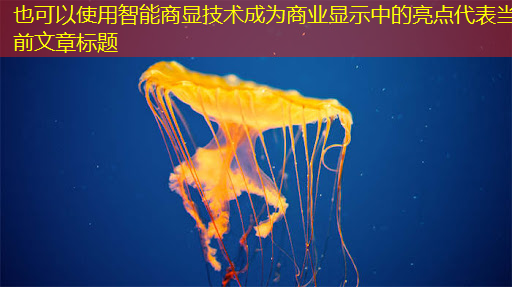 智能商显技术成为商业显示中的亮点 智能商显技术成为商业显示中的亮点
