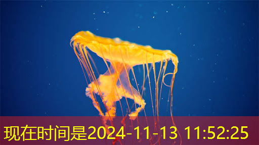 出门就是电影院:智慧投影互动软件打造家庭私人影院! 出门就是电影院:智慧投影互动软件打造家庭私人影院!