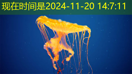 数字化未来：智慧商显管理平台引领新一代商业展示模式