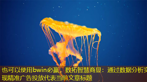 数拓智慧商显:通过数据分析实现精准广告投放 数拓智慧商显:通过数据分析实现精准广告投放