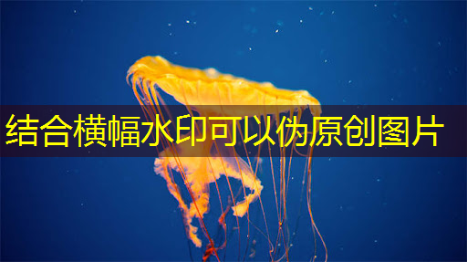 未来教育趋势：智慧互动投影仪助力教学变革