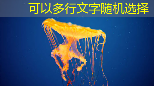 智慧商显展,筑就商业智慧奇迹! 智慧商显展,筑就商业智慧奇迹!