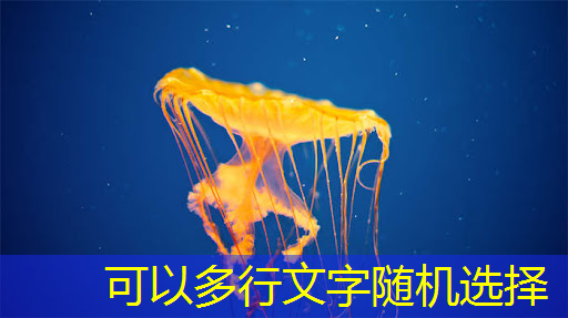 操作指南：如何使用智慧互动投影仪进行多人协同