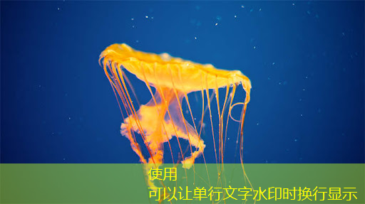 数字化时代的必备工具!商显智慧终端让生意更智能! 数字化时代的必备工具!商显智慧终端让生意更智能!