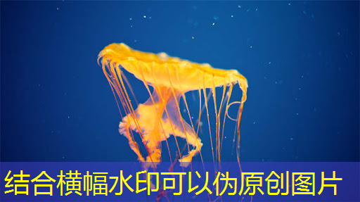 彻底颠覆传统:智慧投影互动软件开创数字展示新模式! 彻底颠覆传统:智慧投影互动软件开创数字展示新模式!