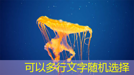 国产 AI 芯片崛起,英伟达霸权不再? 国产 AI 芯片崛起,英伟达霸权不再?