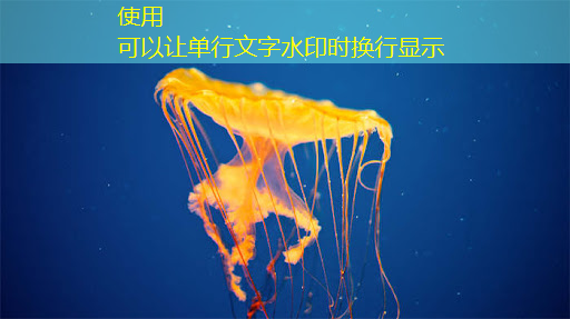 亚马逊AI芯片高管谈Nvidia为何不是竞争对手 亚马逊AI芯片高管谈Nvidia为何不是竞争对手
