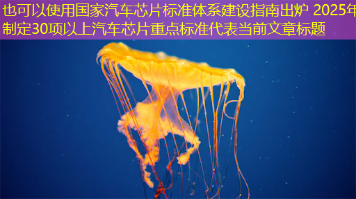 国家汽车芯片标准体系建设指南出炉 2025年制定30项以上汽车芯片重点标准 国家汽车芯片标准体系建设指南出炉 2025年制定30项以上汽车芯片重点标准