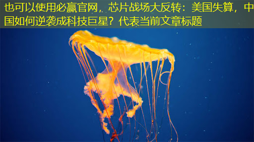 芯片战场大反转:美国失算,中国如何逆袭成科技巨星? 芯片战场大反转:美国失算,中国如何逆袭成科技巨星?