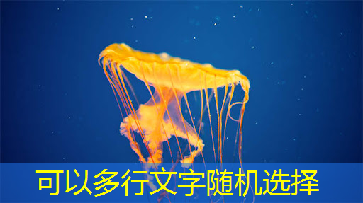 快充追不上安卓,苹果选择长续航,A17芯片重点放在降功耗 快充追不上安卓,苹果选择长续航,A17芯片重点放在降功耗