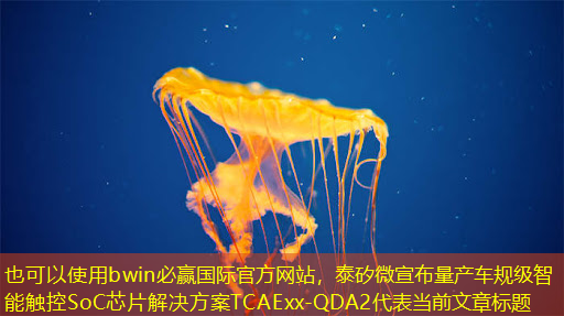 泰矽微宣布量产车规级智能触控SoC芯片解决方案TCAExx-QDA2 泰矽微宣布量产车规级智能触控SoC芯片解决方案TCAExx-QDA2