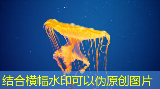 瑞芯微与英特尔谷歌成合作伙伴 共同生产手机芯片 瑞芯微与英特尔谷歌成合作伙伴 共同生产手机芯片