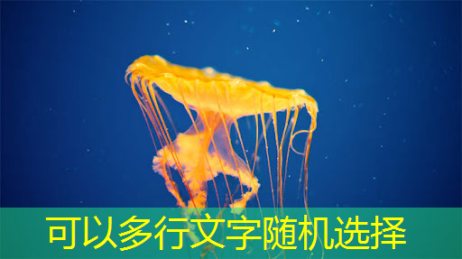 芯片大战:美国301调查下,高考学子的新职业风口在哪? 芯片大战:美国301调查下,高考学子的新职业风口在哪?
