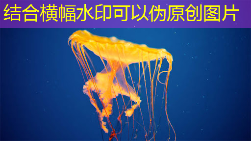 美国芯片巨头与中方合作!将在深圳新建芯片创新中心 美国芯片巨头与中方合作!将在深圳新建芯片创新中心