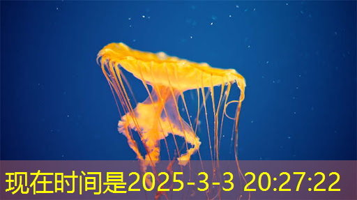寒武纪推出首款边缘计算AI芯片,最大算力时功耗仅10瓦 寒武纪推出首款边缘计算AI芯片,最大算力时功耗仅10瓦