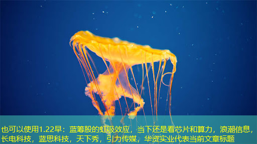 1.22早：蓝筹股的虹吸效应，当下还是看芯片和算力，浪潮信息，长电科技，蓝思科技，天下秀，引力传媒，华资实业