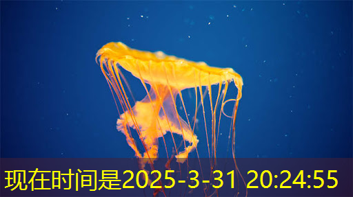 谷歌推出迄今为止最强大、最节能的人工智能芯片 谷歌推出迄今为止最强大、最节能的人工智能芯片