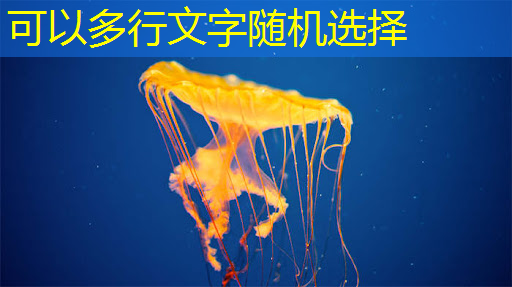 数字赋能中原农谷 “AI”增强农业“芯片” 数字赋能中原农谷 “AI”增强农业“芯片”