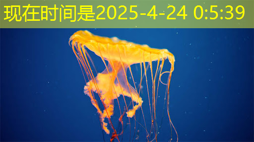 直播回顾|汽车芯片未来的发展趋势,听听行业大咖怎么说? 直播回顾|汽车芯片未来的发展趋势,听听行业大咖怎么说?
