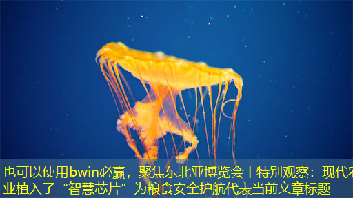 聚焦东北亚博览会丨特别观察:现代农业植入了“智慧芯片”为粮食安全护航 聚焦东北亚博览会丨特别观察:现代农业植入了“智慧芯片”为粮食安全护航